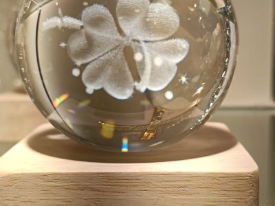 WhatsApp Image 2026-01-27 at 17.24.41 (1)