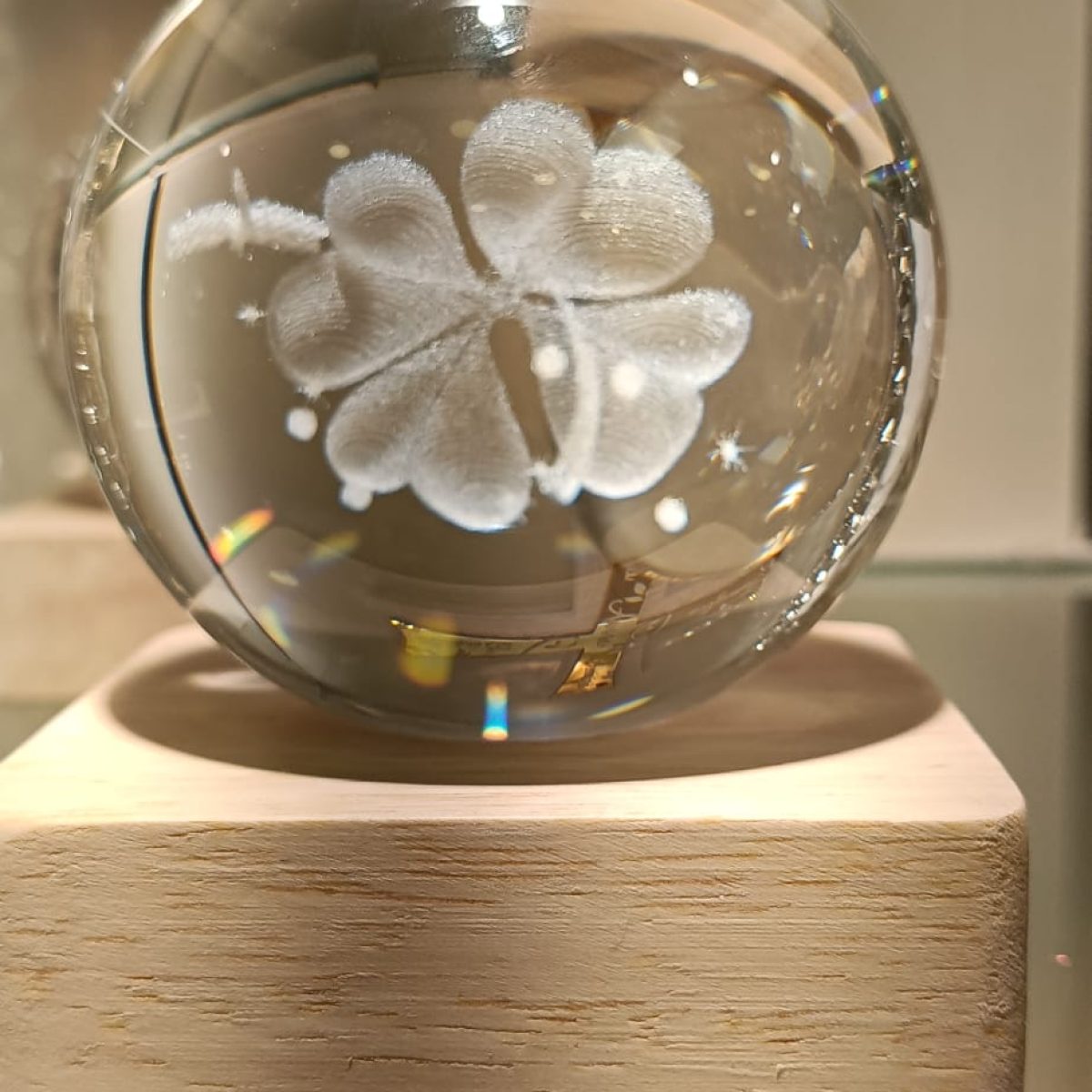 WhatsApp Image 2026-01-27 at 17.24.41 (1)