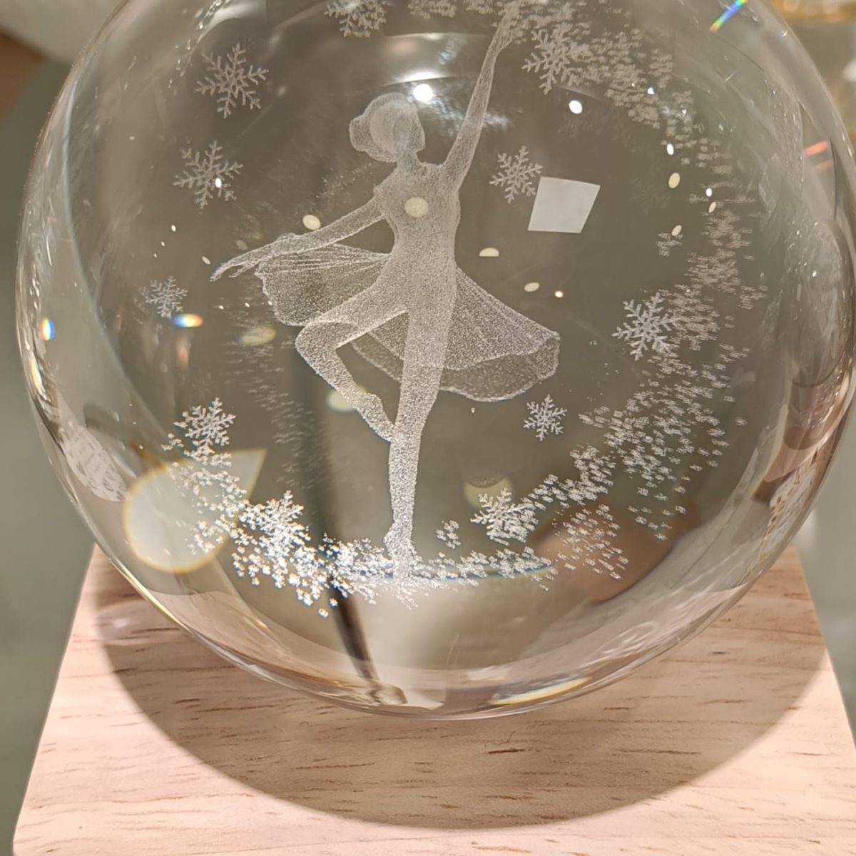 WhatsApp Image 2026-01-27 at 17.24.41 (2)