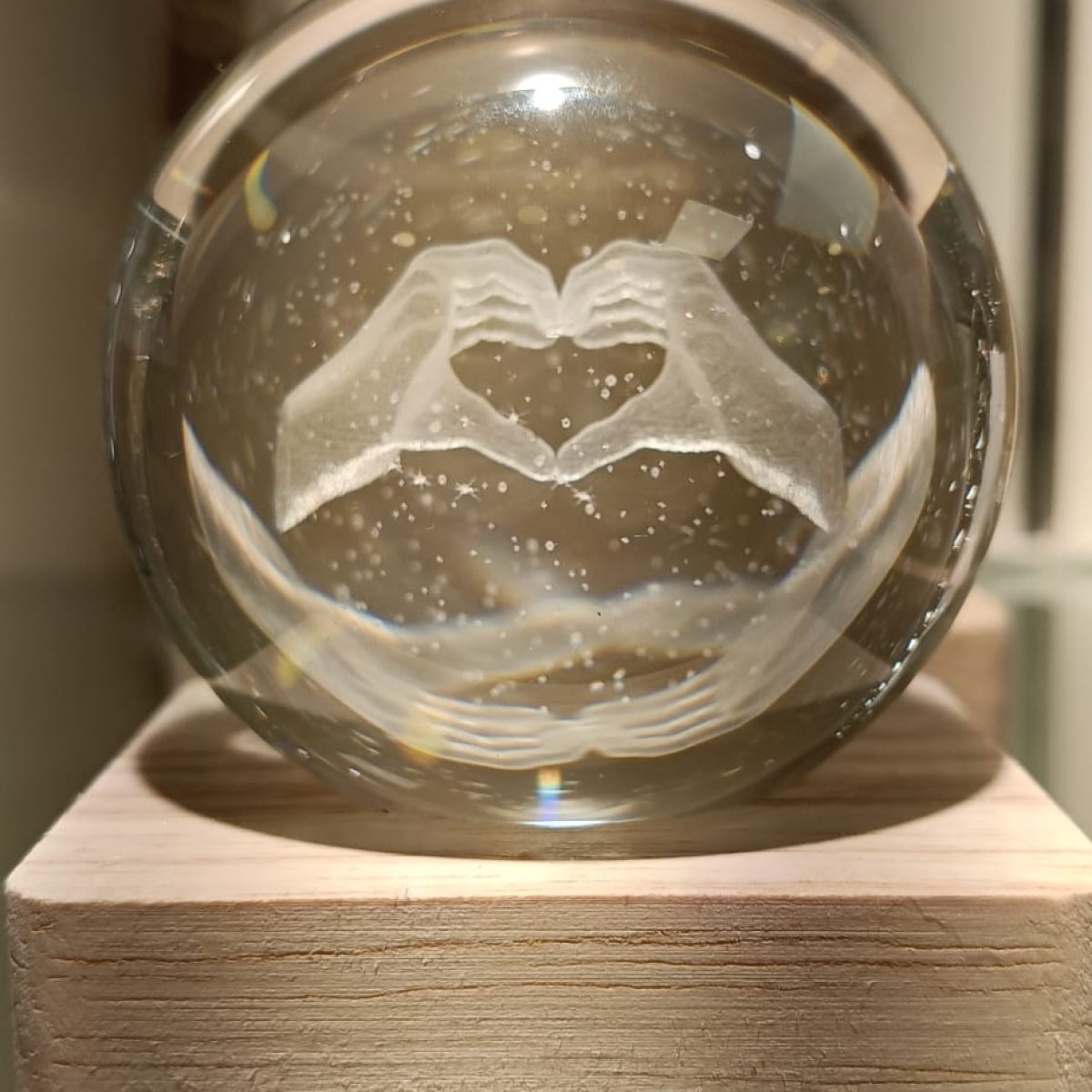 WhatsApp Image 2026-01-27 at 17.24.41