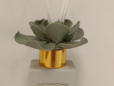 WhatsApp Image 2026-01-29 at 10.36.34 (1)