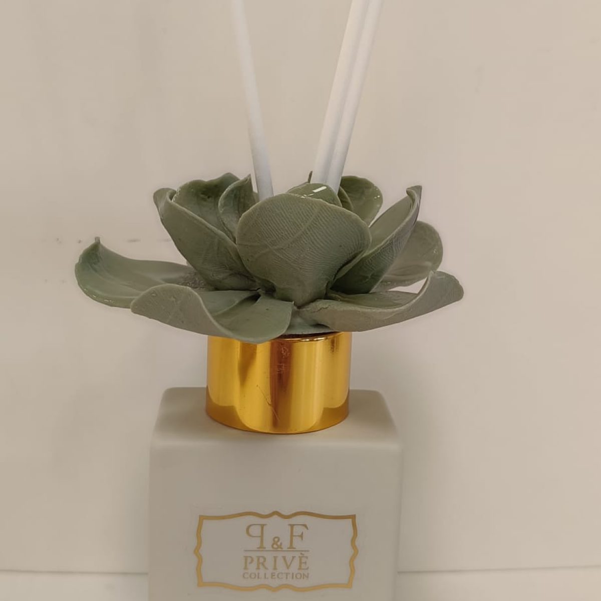 WhatsApp Image 2026-01-29 at 10.36.34 (1)