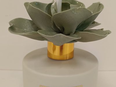 WhatsApp Image 2026-01-29 at 10.36.34 (2)