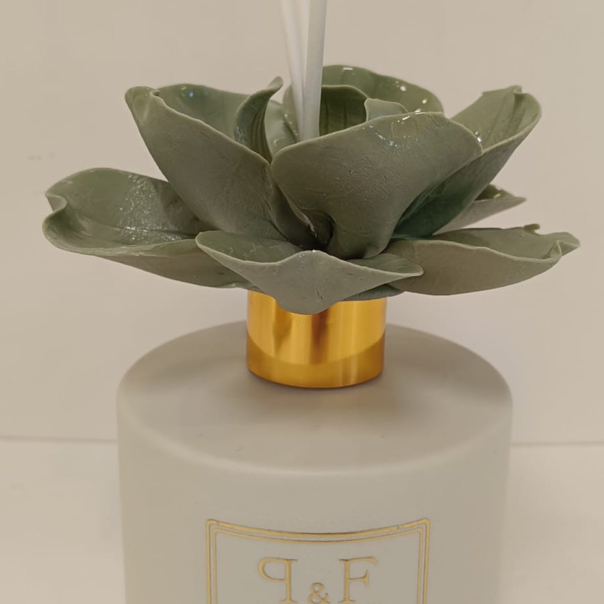 WhatsApp Image 2026-01-29 at 10.36.34 (2)