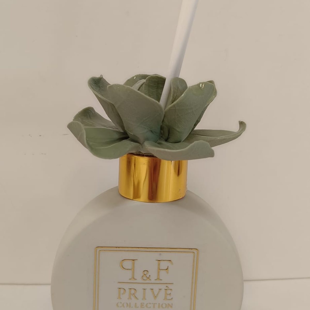 WhatsApp Image 2026-01-29 at 10.36.34 (3)