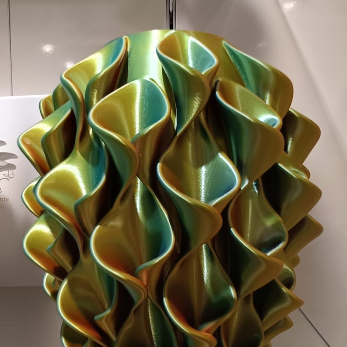 WhatsApp Image 2026-02-04 at 10.19.00