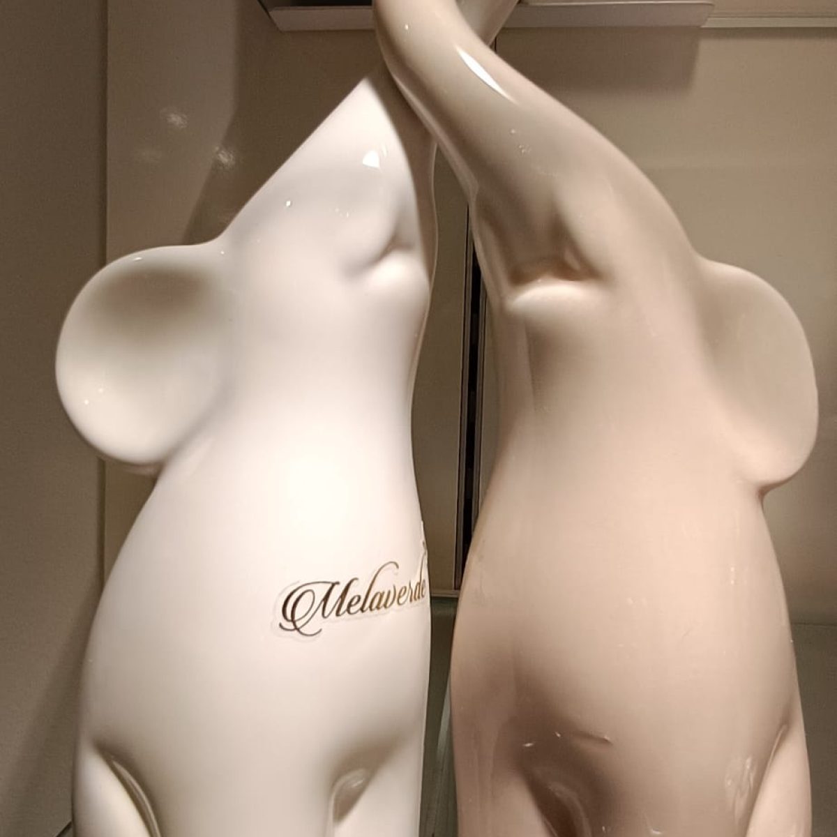 WhatsApp Image 2026-02-04 at 10.19.04 (4)