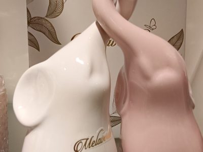 WhatsApp Image 2026-02-04 at 10.19.04 (5)