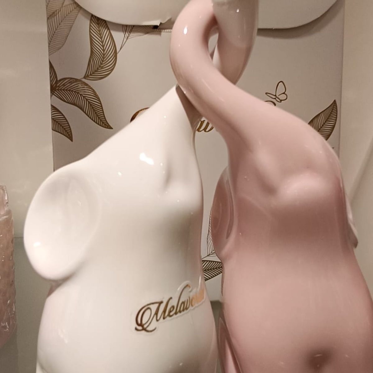 WhatsApp Image 2026-02-04 at 10.19.04 (5)