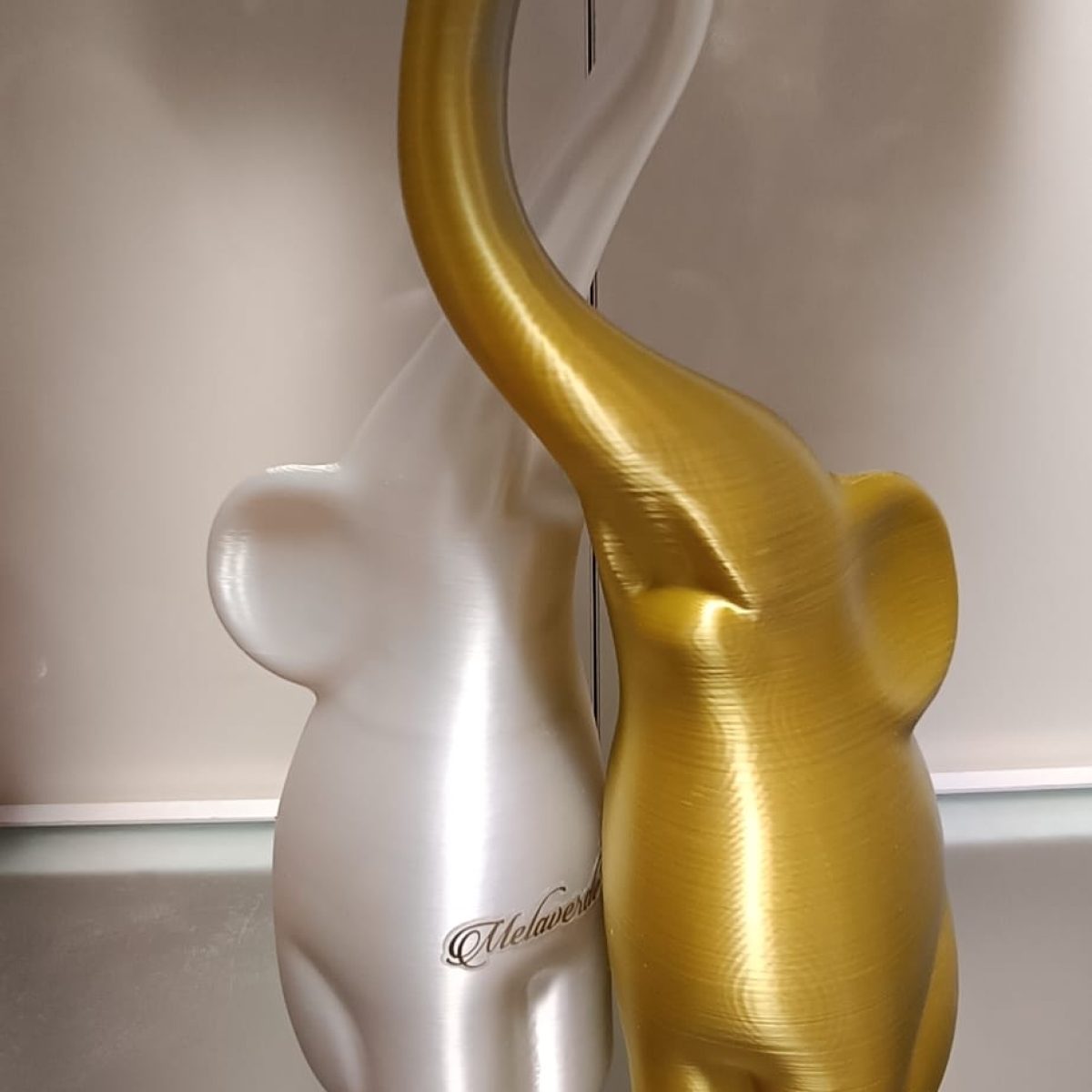 WhatsApp Image 2026-02-04 at 10.19.04