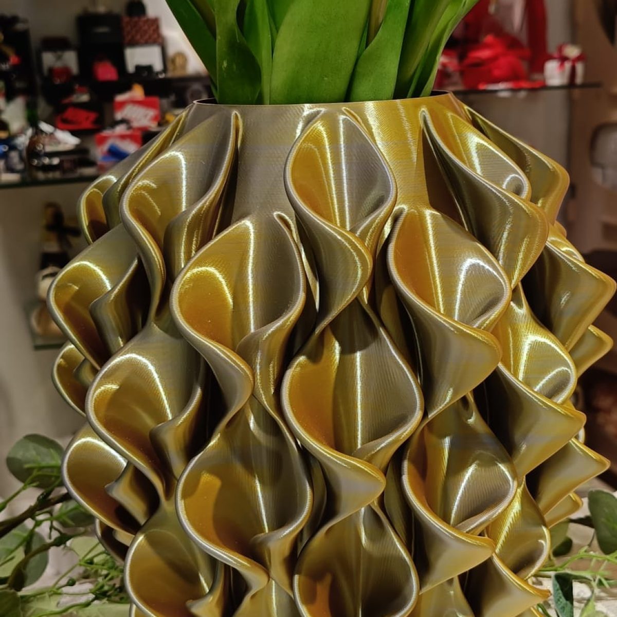 WhatsApp Image 2026-02-04 at 10.19.06 (1)