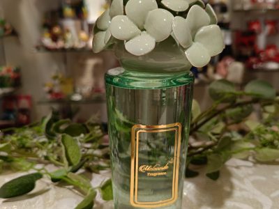 WhatsApp Image 2026-02-04 at 10.19.06