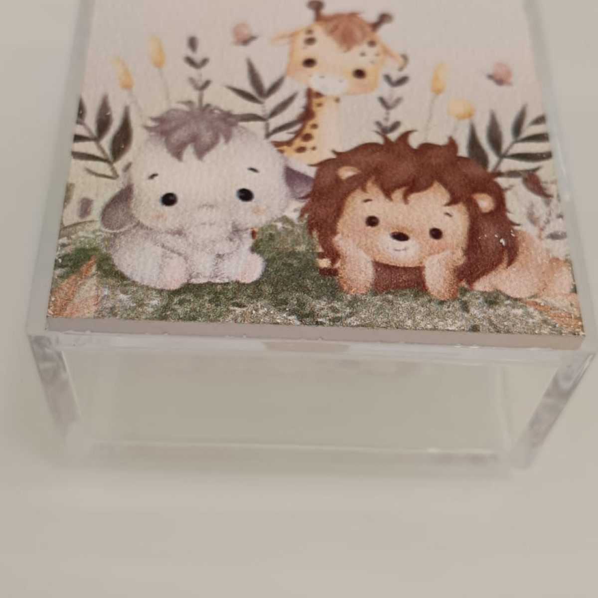 WhatsApp Image 2026-02-05 at 18.19.47 (1)