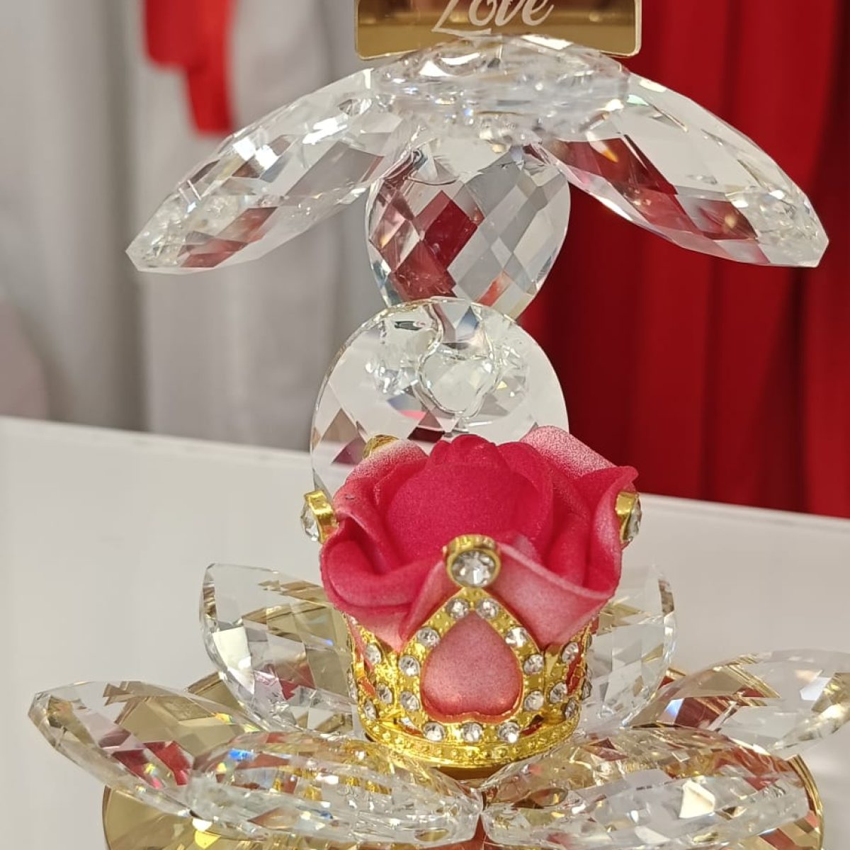 WhatsApp Image 2026-02-05 at 18.19.49 (3)