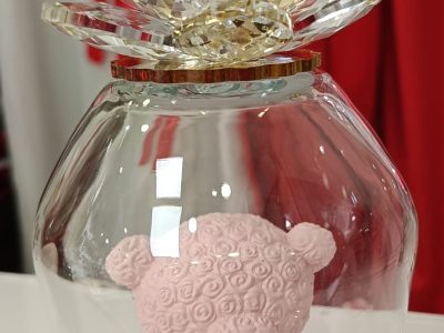 WhatsApp Image 2026-02-05 at 18.19.52 (3)